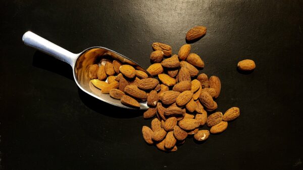 Amandes d'Espagne bio