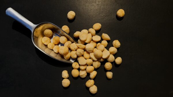 Noix de Macadamia bio