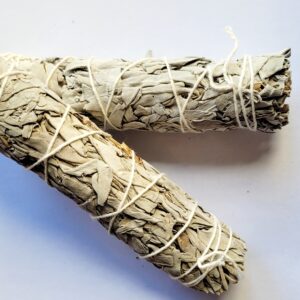 Fagot Sauge Blanche 15cm