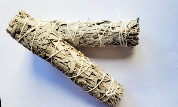 Fagot Sauge Blanche 15cm
