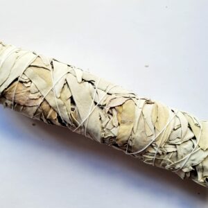 Fagot Sauge Blanche 21cm